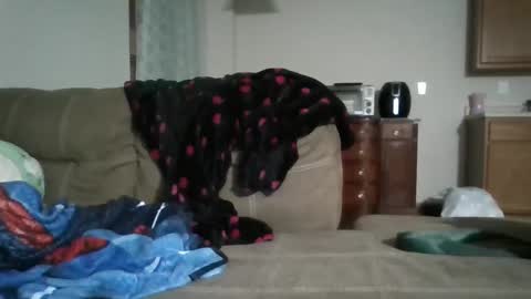 Bud42o online show from 09-09-25, 04:56