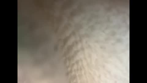 bull cub online show from 12-05-24, 11:40