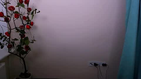 Snapshot of bunnybloom_ chatting on 10-21-25, 04:13 Ariel online show from 10-21-25, 04:13