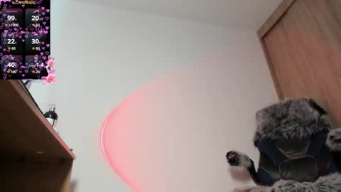 Snapshot of bunnyblush18 chatting on 10-25-25, 02:24 Sammy online show from 10-25-25, 02:24