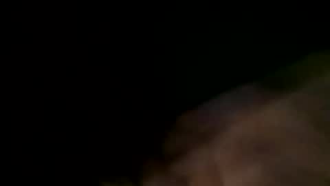 Snapshot of bushmen21 chatting on 12-05-24, 11:40 bushmen21 online show from 12-05-24, 11:40