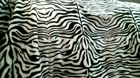 Snapshot of bustinfree chatting on 02-05-25, 03:31 bustinfree online show from 02-05-25, 03:31