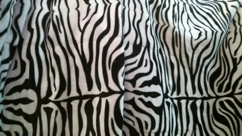 Snapshot of bustinfree chatting on 02-28-25, 03:37 bustinfree online show from 02-28-25, 03:37