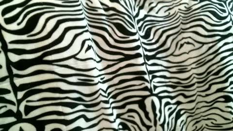 Snapshot of bustinfree chatting on 09-09-25, 05:56 bustinfree online show from 09-09-25, 05:56