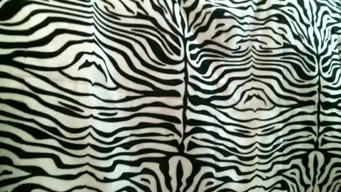 Snapshot of bustinfree chatting on 09-16-25, 03:35 bustinfree online show from 09-16-25, 03:35