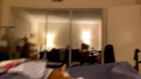 Snapshot of busty_2008 chatting on 02-24-26, 03:04 busty_2008 online show from 02-24-26, 03:04