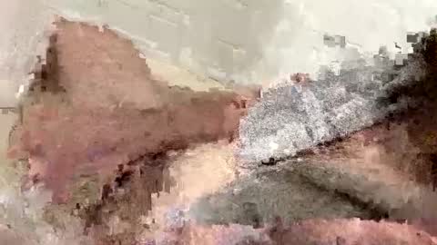 buzzed_gaming online show from 02-17-25, 05:14