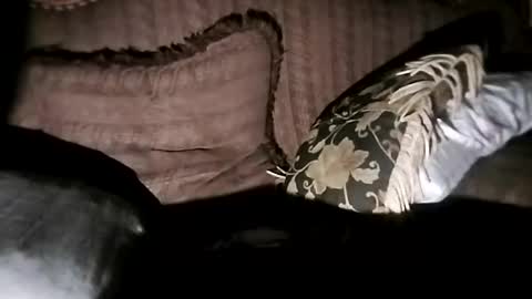 bxpapi69 online show from 11-07-25, 06:46