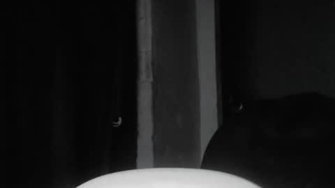 Snapshot of cafinfi1 chatting on 02-18-26, 01:45 cafinfi1 online show from 02-18-26, 01:45