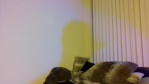 Cal XXX online show from 11-01-25, 02:13