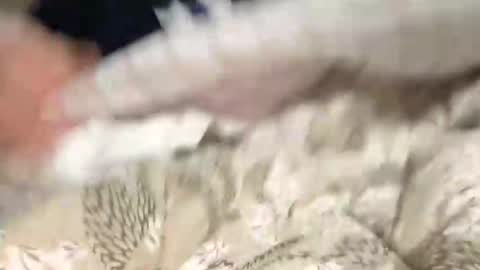 Snapshot of calciatore94 chatting on 12-09-24, 08:54 Marco online show from 12-09-24, 08:54