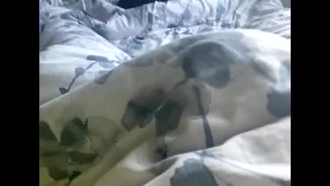 callmedaddyyouslut44 online show from 03-02-26, 11:50