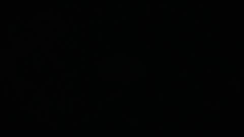 Charly online show from 03-17-26, 11:57