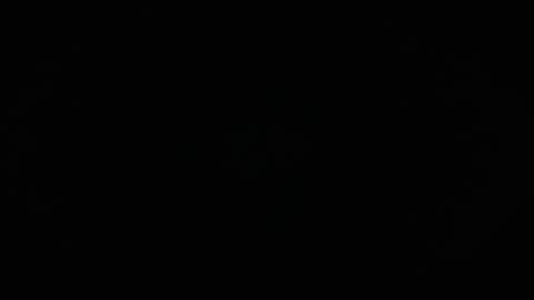 Charly online show from 04-08-26, 12:49