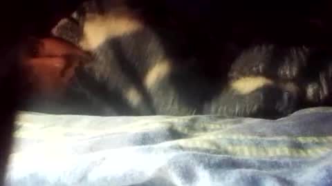 Mara Catalina Romero Ordez online show from 01-01-25, 07:52