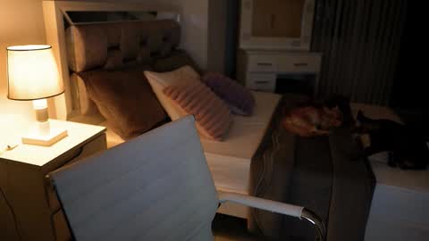 Camila buitrago online show from 11-18-25, 11:37