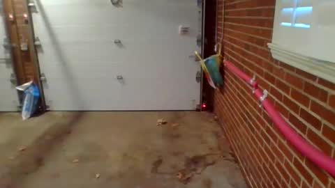 Snapshot of cammyman6900 chatting on 12-09-24, 01:34 cammyman6900 online show from 12-09-24, 01:34