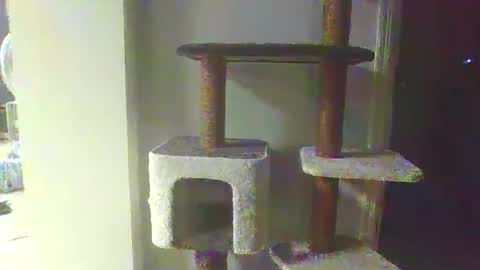 cammyman6900 online show from 11-20-25, 04:34