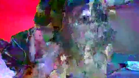 candy kyle online show from 10-02-25, 10:28