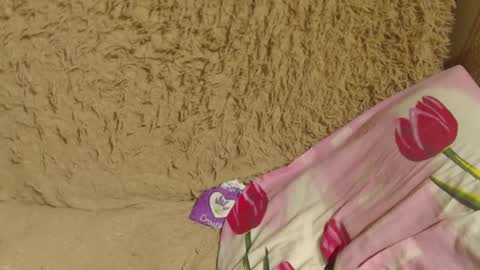 say meow and send tip  online show from 12-22-24, 10:58