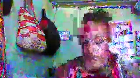 Snapshot of carinesexy69 chatting on 01-20-25, 10:40 carinesexy69 online show from 01-20-25, 10:40