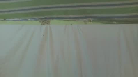 Snapshot of carinesexy69 chatting on 10-02-25, 11:39 carinesexy69 online show from 10-02-25, 11:39