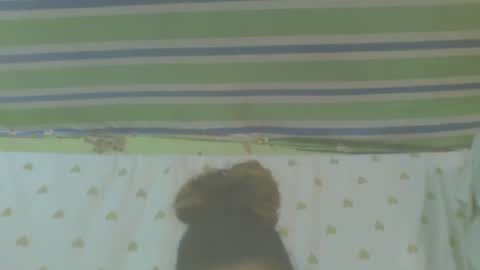 Snapshot of carinesexy69 chatting on 10-31-25, 10:16 carinesexy69 online show from 10-31-25, 10:16