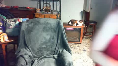 Snapshot of carleyquinn42183 chatting on 12-02-24, 03:47 Carley online show from 12-02-24, 03:47