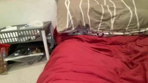 Snapshot of casanovacasaa chatting on 02-20-25, 07:19 casanovacasaa online show from 02-20-25, 07:19