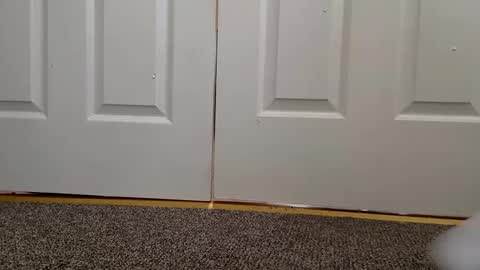 Snapshot of cash13bychanel chatting on 12-11-24, 08:28 cash13bychanel online show from 12-11-24, 08:28