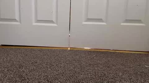 Snapshot of cash13bychanel chatting on 01-22-25, 08:17 cash13bychanel online show from 01-22-25, 08:17