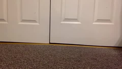 Snapshot of cash13bychanel chatting on 01-23-25, 05:56 cash13bychanel online show from 01-23-25, 05:56