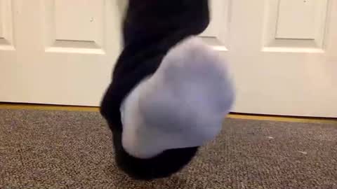 Snapshot of cash13bychanel chatting on 01-26-25, 01:41 cash13bychanel online show from 01-26-25, 01:41