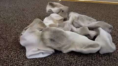 Snapshot of cash13bychanel chatting on 02-04-25, 06:38 cash13bychanel online show from 02-04-25, 06:38