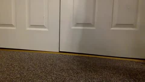 Snapshot of cash13bychanel chatting on 03-06-25, 09:14 cash13bychanel online show from 03-06-25, 09:14