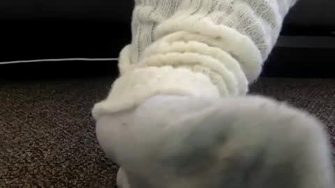 cash13bychanel online show from 12-04-25, 07:00