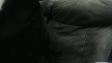 casidy1 online show from 01-23-25, 10:32