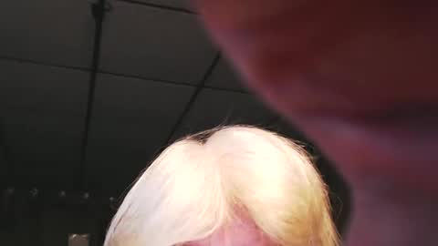 cat online show from 01-03-25, 08:11