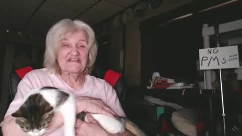 cat online show from 02-04-25, 09:31