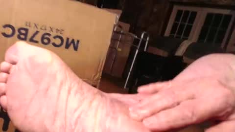 cat online show from 10-28-25, 07:27