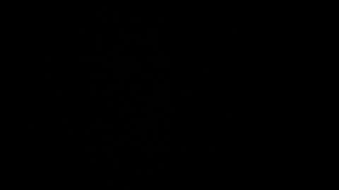 Snapshot of cata_n_cami chatting on 12-21-24, 10:08 cata_n_cami online show from 12-21-24, 10:08