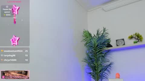 Snapshot of cellesteevans chatting on 01-08-25, 09:34 Celeste online show from 01-08-25, 09:34