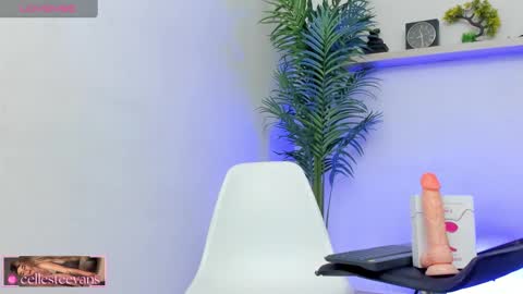 Snapshot of cellesteevans chatting on 01-20-25, 04:45 Celeste online show from 01-20-25, 04:45