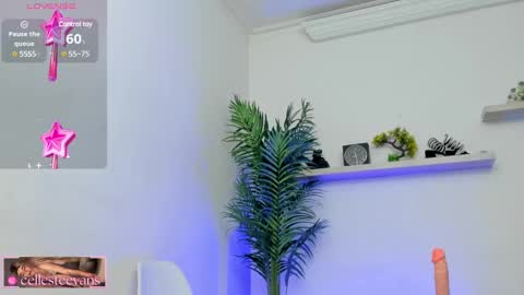 Snapshot of cellesteevans chatting on 01-21-25, 05:41 Celeste online show from 01-21-25, 05:41