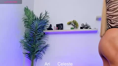 Snapshot of cellesteevans chatting on 01-25-25, 04:13 Celeste online show from 01-25-25, 04:13