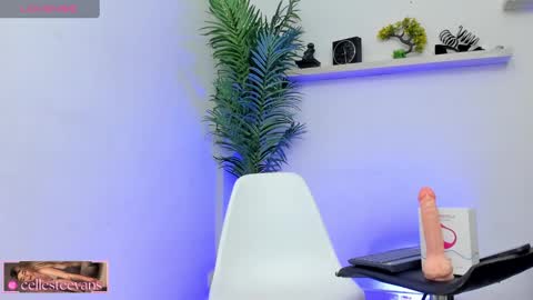 Snapshot of cellesteevans chatting on 01-25-25, 09:04 Celeste online show from 01-25-25, 09:04