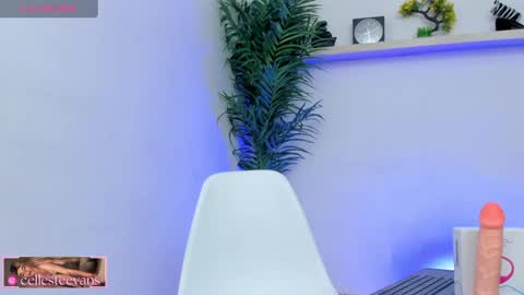 Snapshot of cellesteevans chatting on 02-05-25, 08:57 Celeste online show from 02-05-25, 08:57