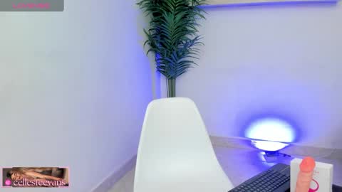 Snapshot of cellesteevans chatting on 02-14-25, 04:41 Celeste online show from 02-14-25, 04:41