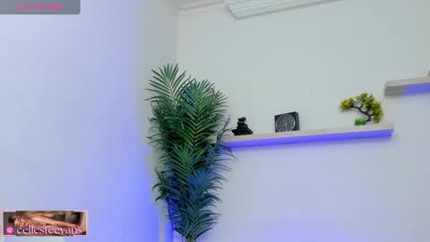Snapshot of cellesteevans chatting on 02-21-25, 02:59 Celeste online show from 02-21-25, 02:59