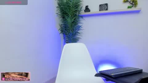 Snapshot of cellesteevans chatting on 02-25-25, 03:38 Celeste online show from 02-25-25, 03:38